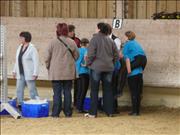 voltitag 2009 _CD1 071